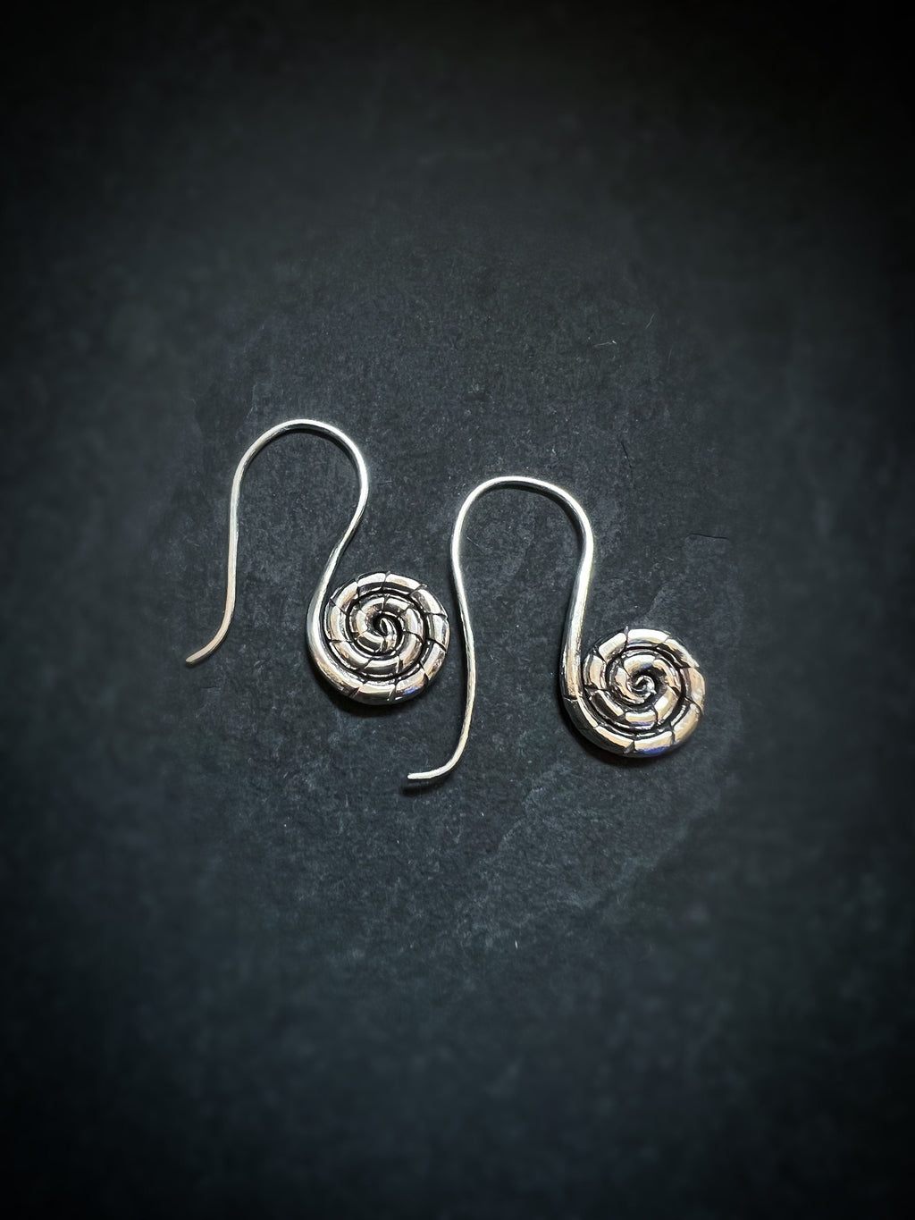 Snail Spiral Dangling Earrings