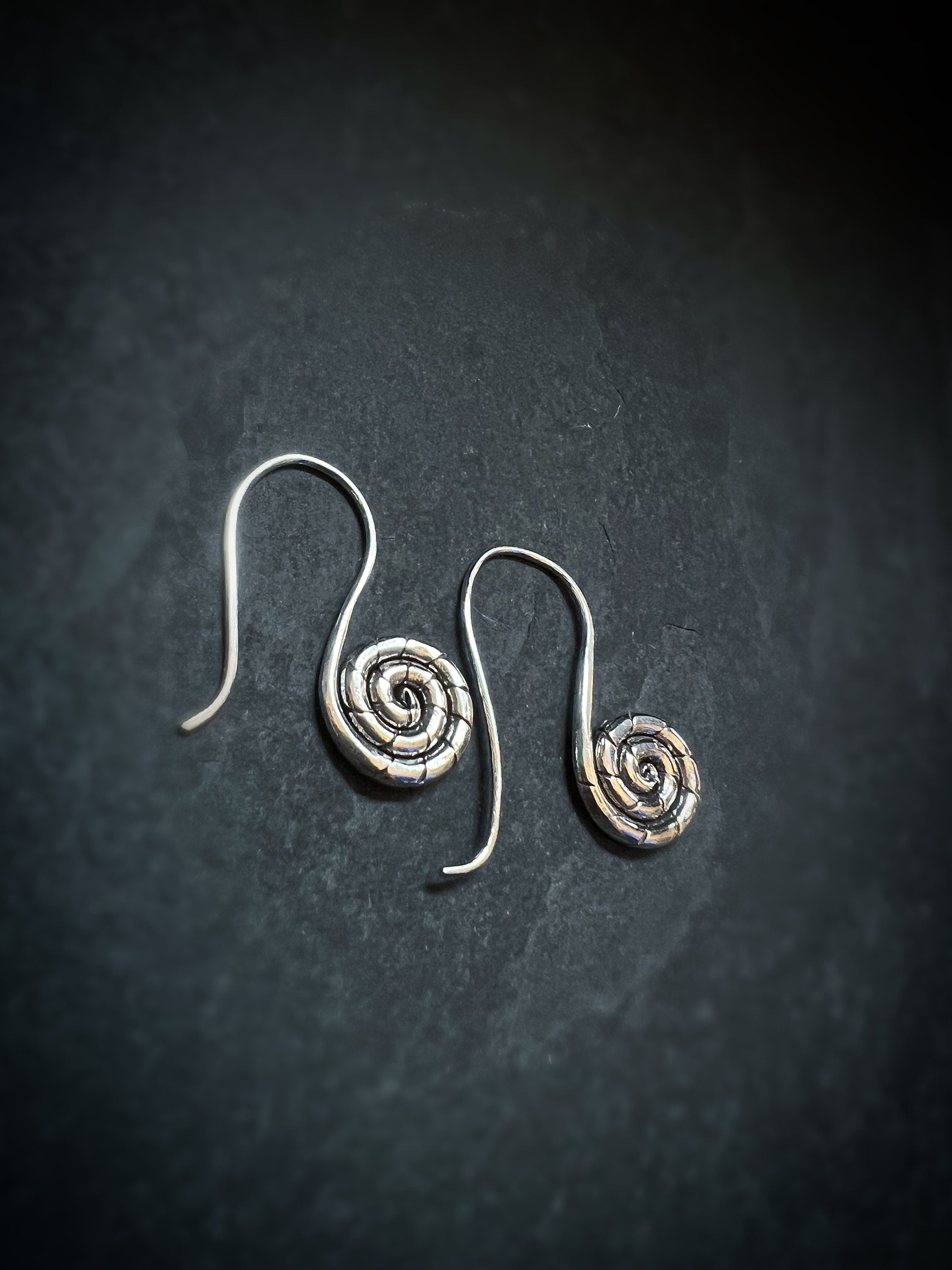 Snail Spiral Dangling Earrings