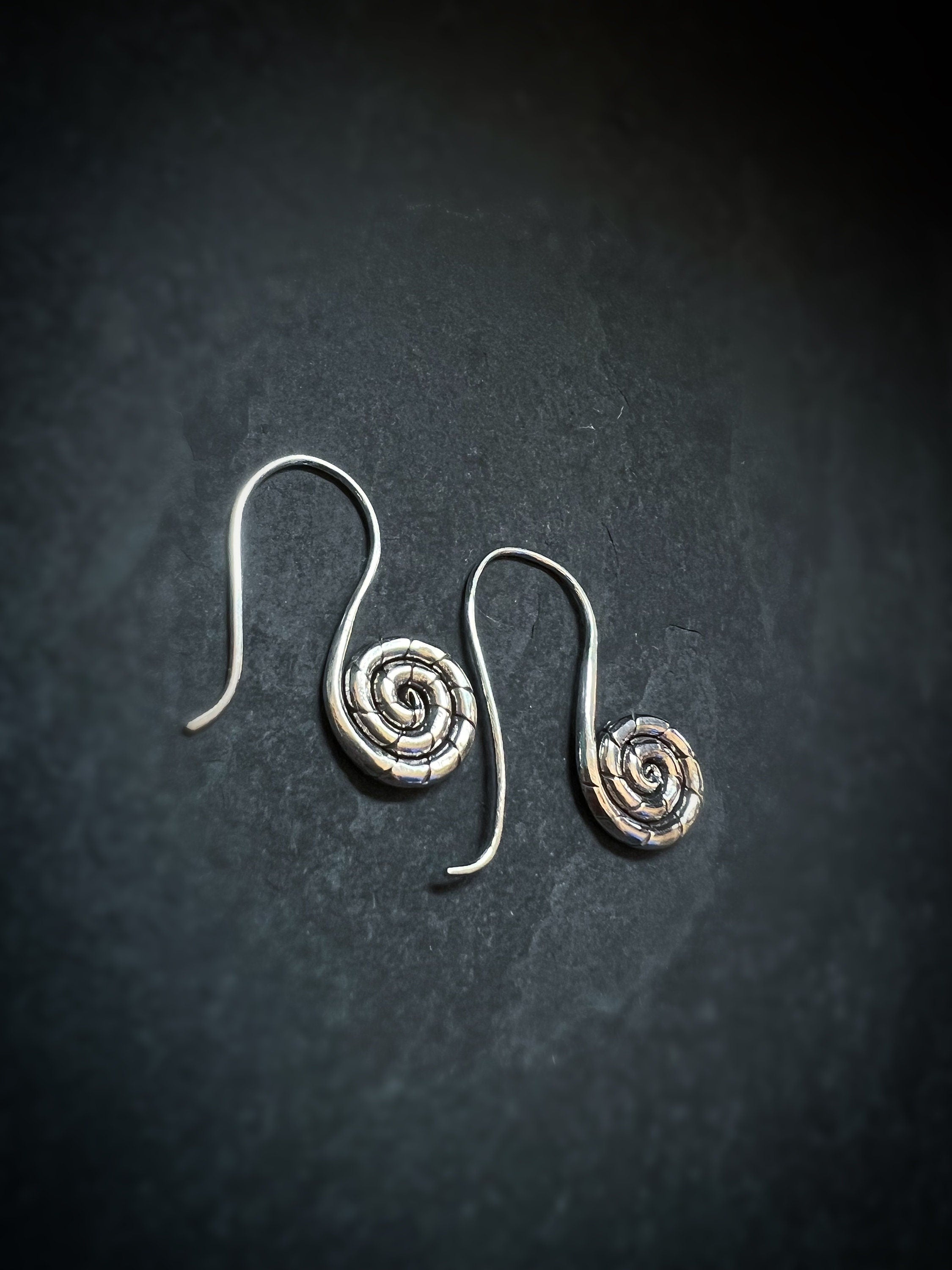 Snail Spiral Dangling Earrings