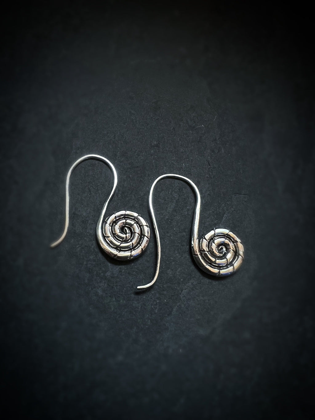 Snail Spiral Dangling Earrings