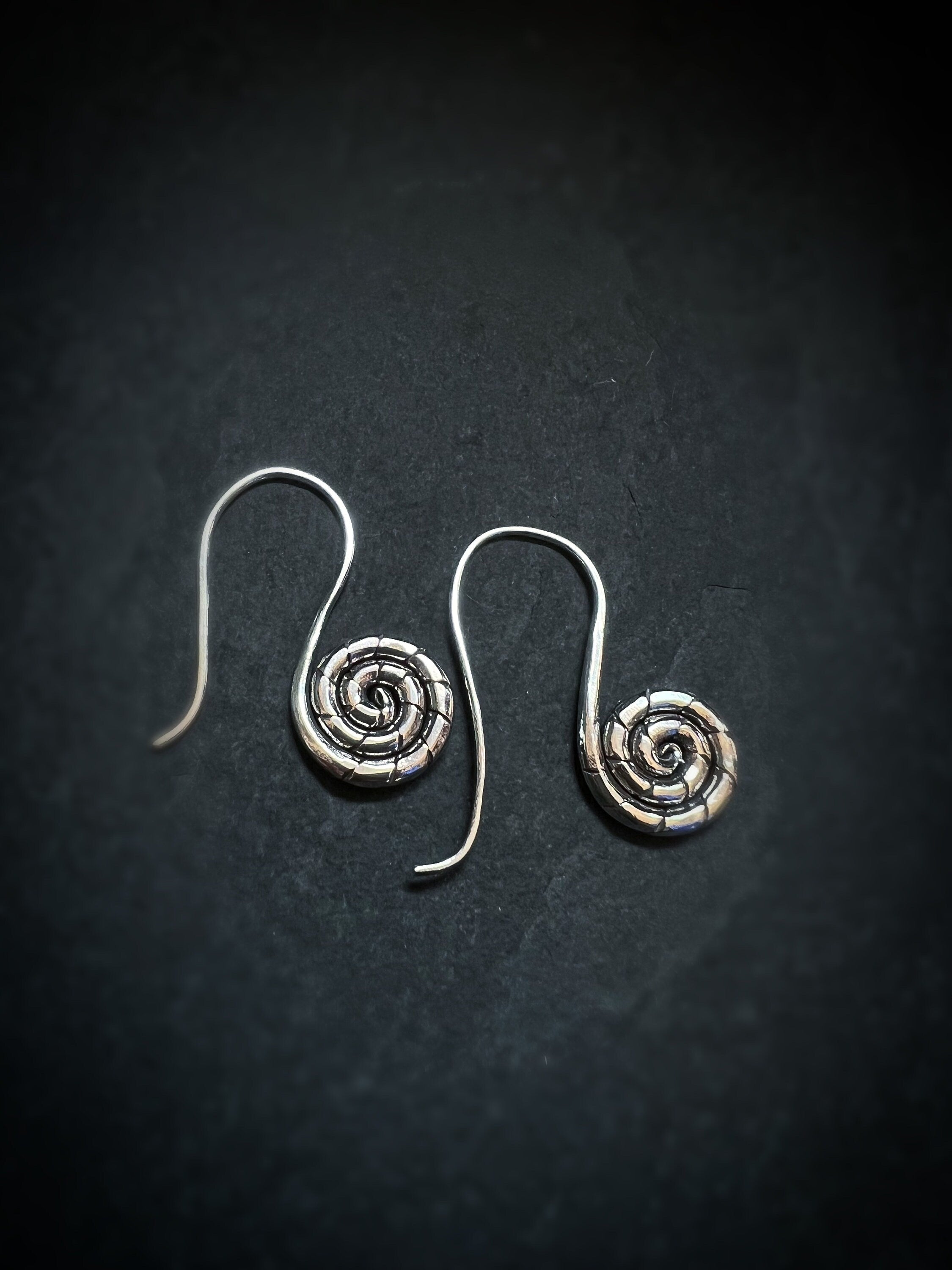 Snail Spiral Dangling Earrings