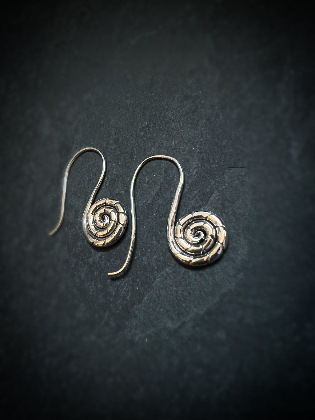 Snail Spiral Dangling Earrings