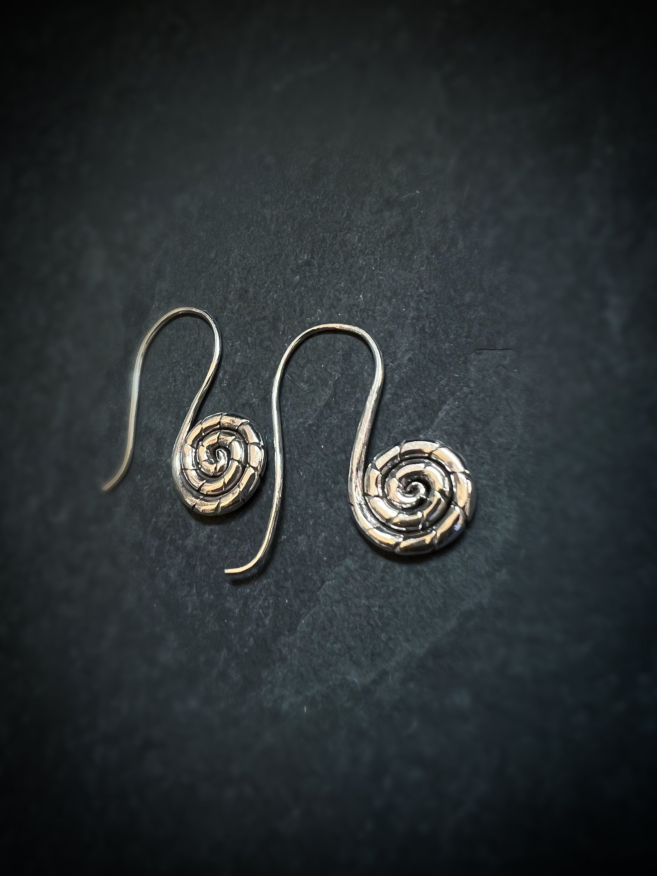 Snail Spiral Dangling Earrings