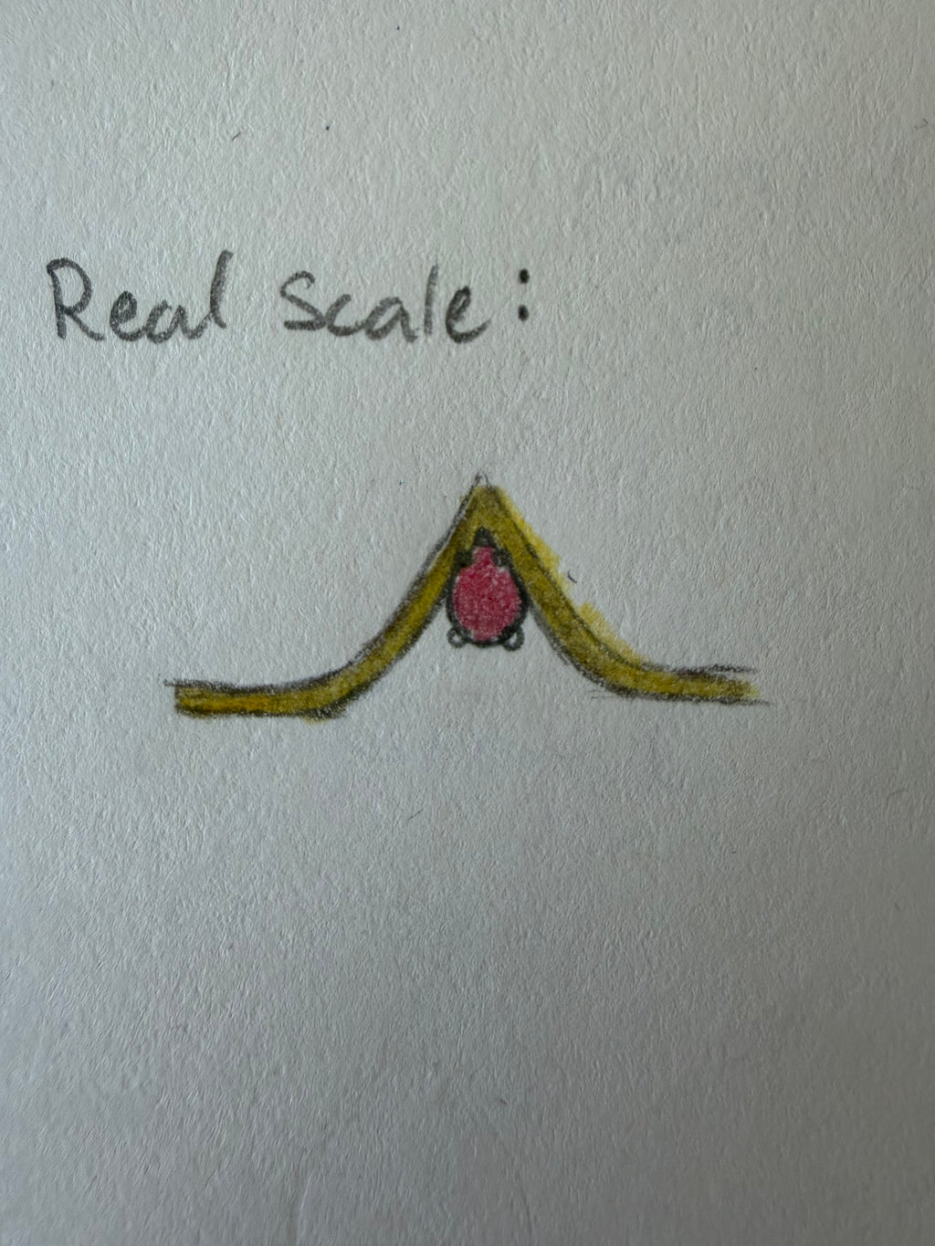 Custom Pre-Order for Aubrey - Gold and Garnet Ring
