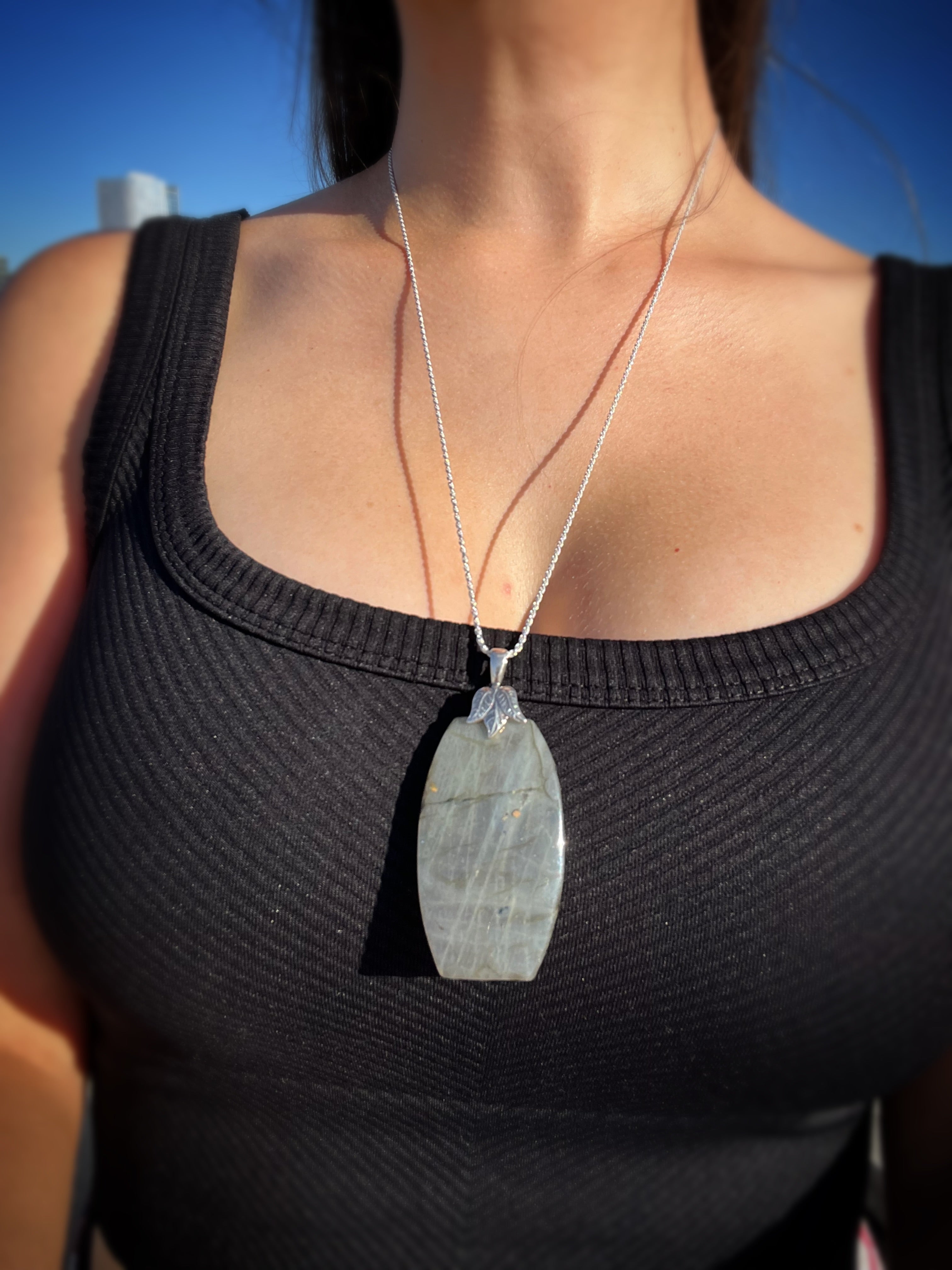 Aurora Grove Rainbow Labradorite Necklace